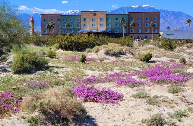 Best Western Plus Coachella Valley Inn & Suites