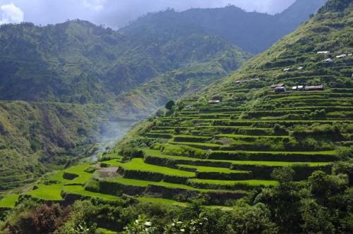Bhev's Buscalan Homestay