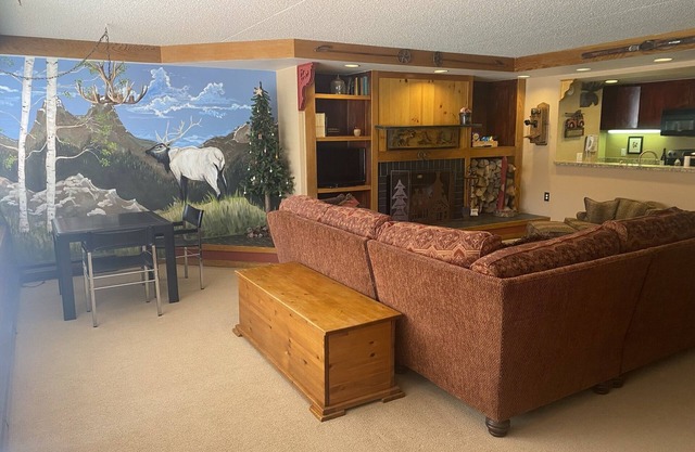 Big 2bd/2ba 5 beds, free parking, close to ski lift, New to VRBO, 4.85 *rating