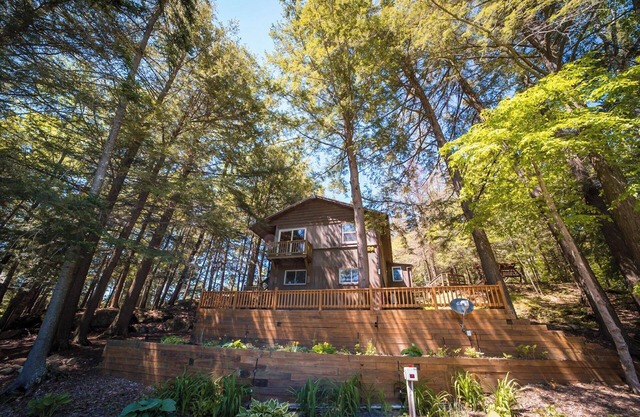 Birch Point Cottage in the Heart of the ADK Park