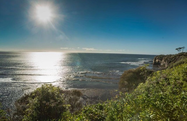 Birchgrove Apartments