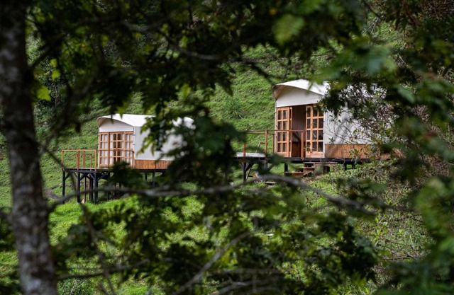 Birdglamping Los Arboles Glamping Hotel