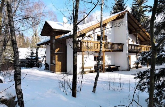 Birke by Interhome