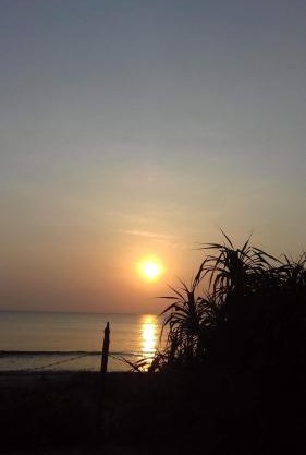Black Forest Beach Resort