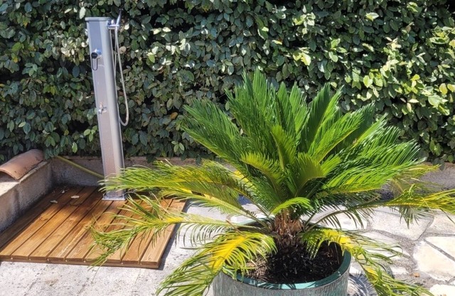 Bleu Azur villa, close to Esterel beaches, Cannes and Nice, and the pre-Alps.