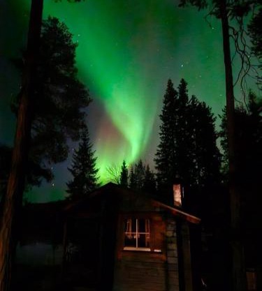 Blue Moment at the Arctic Circle- Forest, beach, activities