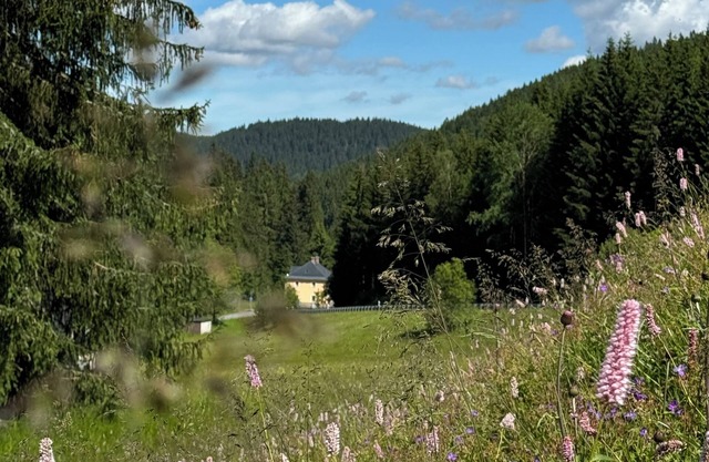 Bohemian Mountain Reserve im Naturpark Erzgebirge