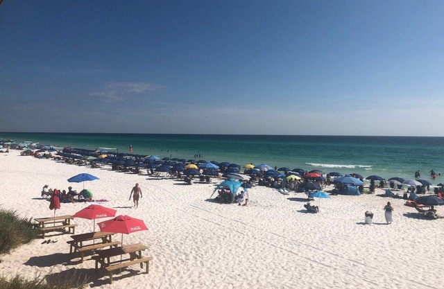 Bohemian Retreat House near Historic St. Andrews area - Panama City