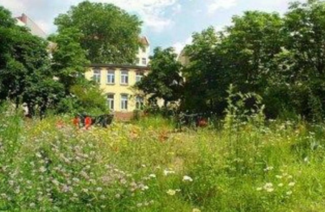 Bornholmer Hof