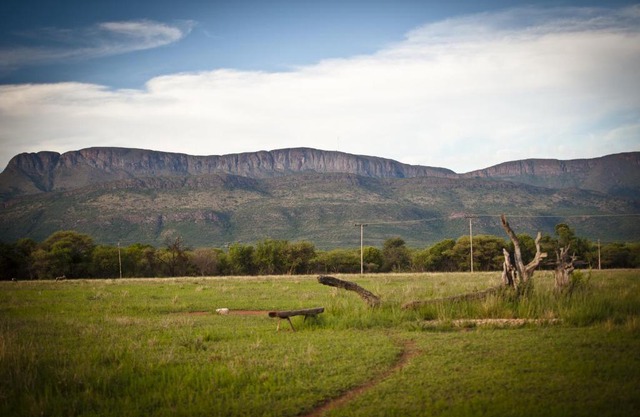 Boschfontein Guest Farm