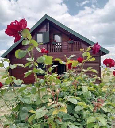 Boskovica Brvnare