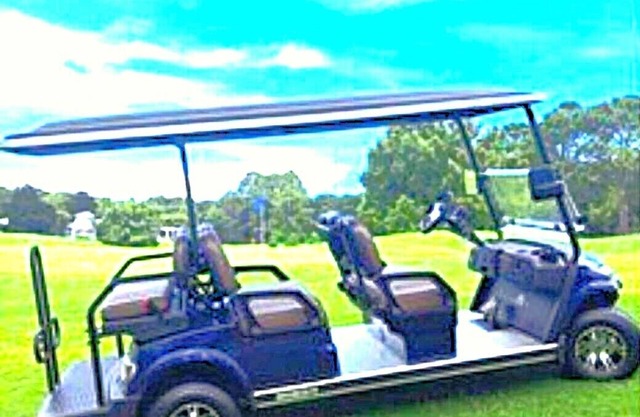 BRAND NEW 2024 6 passenger GOLF CART! 3 minutes to beach! Beautiful lake view!
