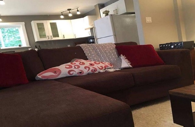 Bright and Spacious Suite in Desirable Comox Peninsula-Short Term or Vacation