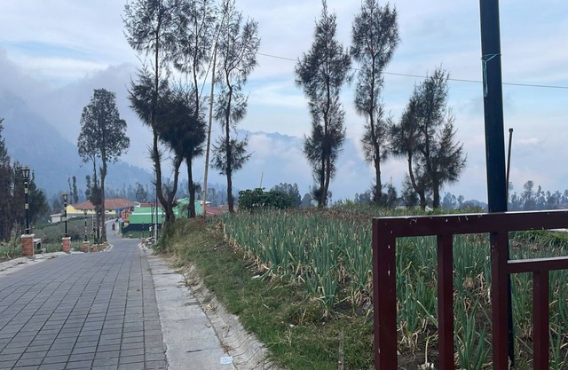 Bromo Semesta Guesthouse