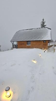 Brvnara “Vidik Breg”