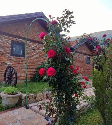Bungalovi Narandža Ramsko jezero