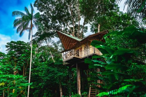 Burú Nature Hotel