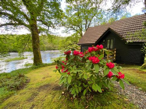Burnbank Lodges