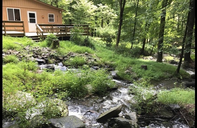 Bushkill Falls Cabin