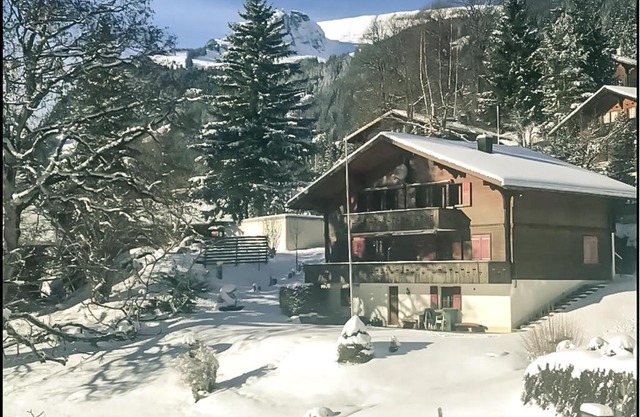 Bussalp Apartment - Aare Jungfrau AG