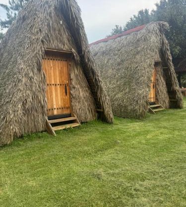Cabañas Green Life