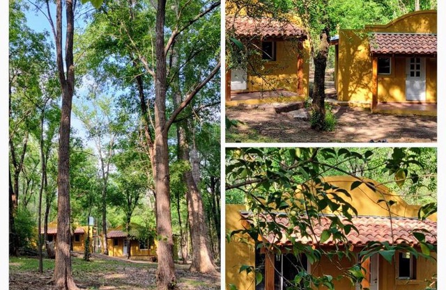 Cabañas Nueve Alamos