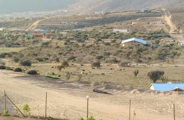 Cabaña