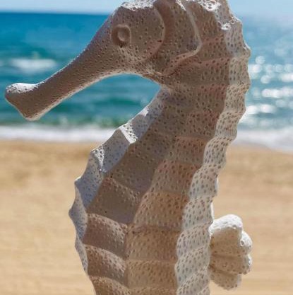 Caballito de Mar
