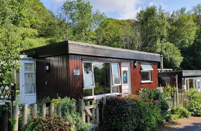 Caban Dyfi – A tranquil, dog-friendly woodland escape near Aberdovey, Wales