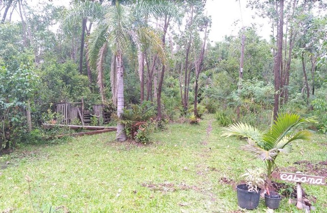 Cabana Bambu
