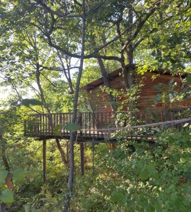 Cabane de la Bannette - Magnifique cabane dans les arbres, vue panoramique