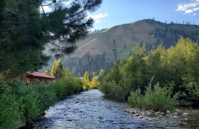 Cabin 1 at Southfork Lodge- sleeps up to 2