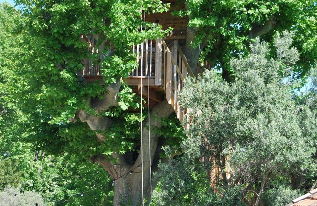 Cabin in the plane tree, swimming pool, trampoline