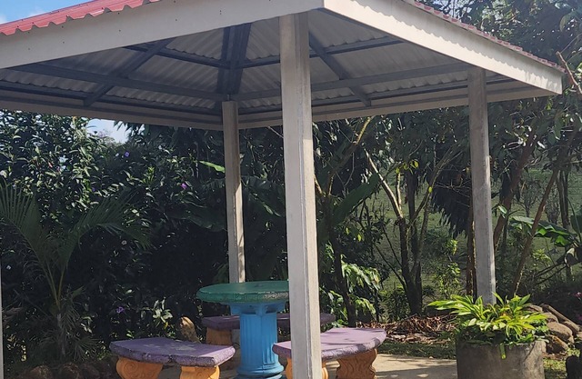 Cabinas El Pilon Rio Celeste