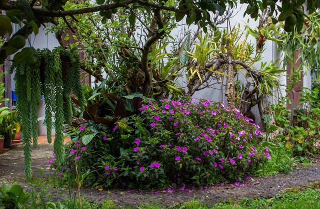 Cabinas las Manzanas Bed y Breakfast