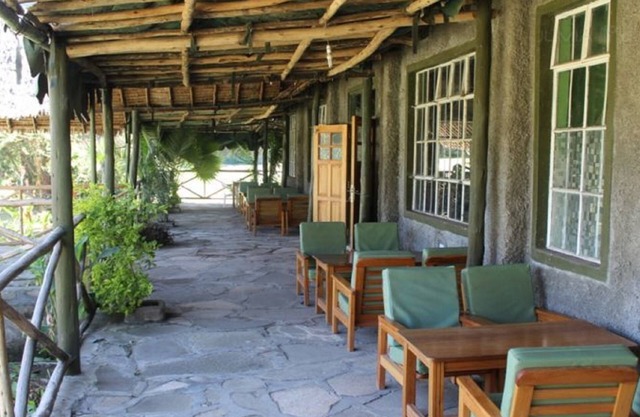 Cactus Eco Camp and Lodge