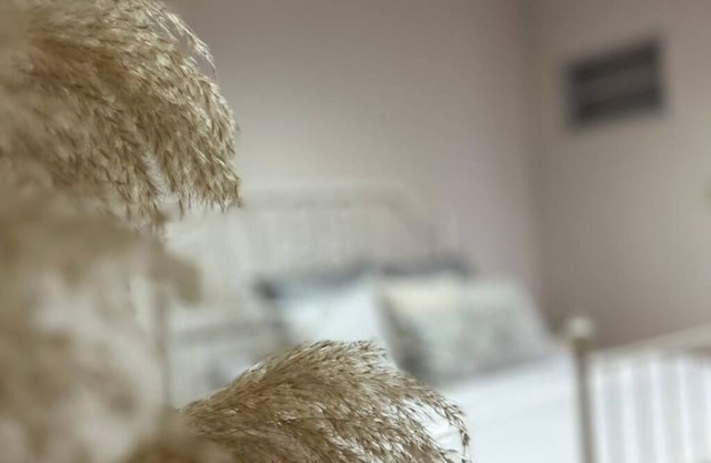 Cairo City Spot - 2BR Apt Viewing Shams Club