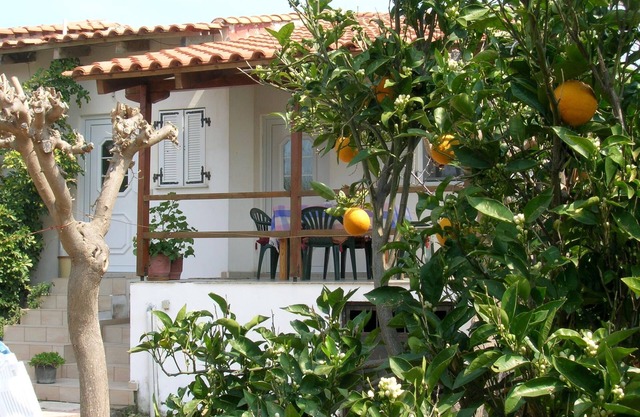 Calm located, amid an olive grove, close to the beach, wifi | holiday house Ilia