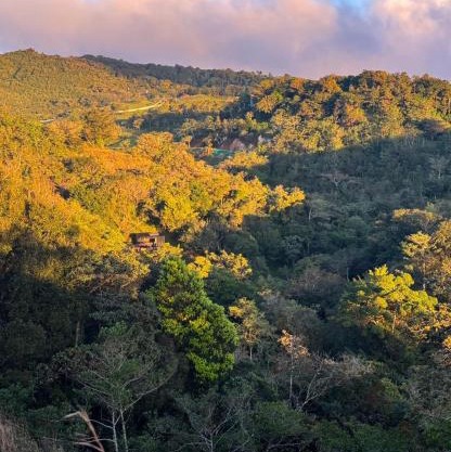 Campana Lodge n' Trails