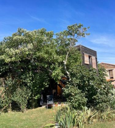 campdebaseventoux, vue sur le ventoux insolite