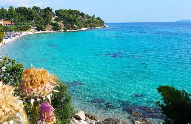 Caretta Village
