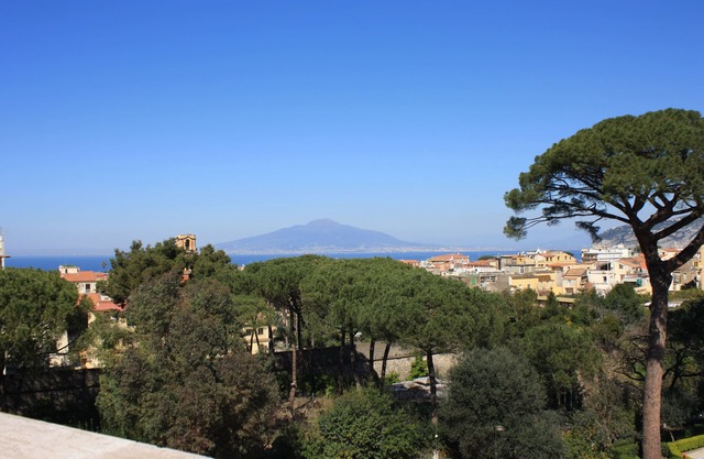 Casa Bice, an Amazing view of Vesuvius in the heart of Sorrento with Pool
