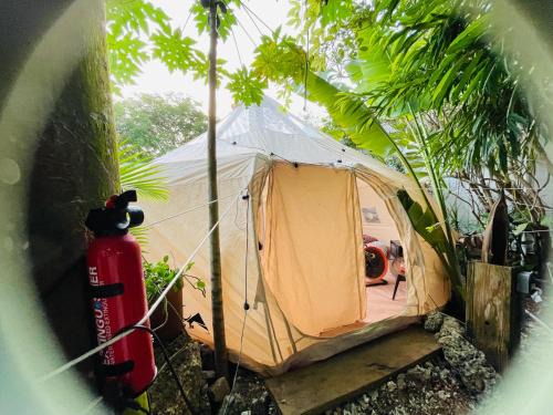 Casa de Campaña en la Pequeña Selva by Legnalife