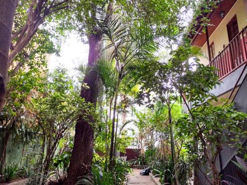 Casa tropical com mini floresta em Santa Teresa
