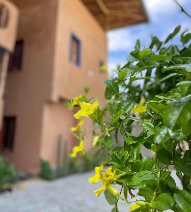 Casa Valhalla Choroni