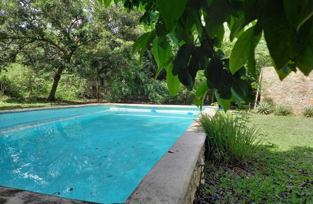 Casa Viva Mérida