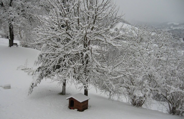 Casolare Festivity - New Year 20-25 people in the Marche region in Acqualagna