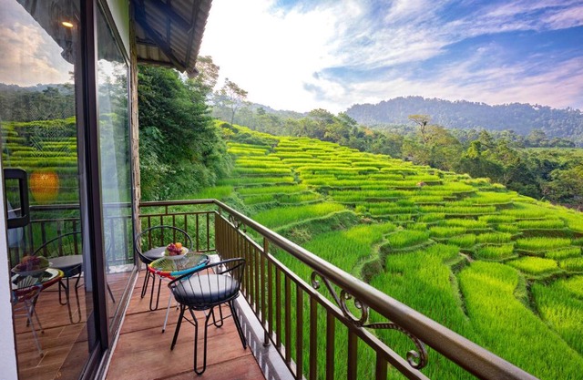 Central hills Puluong resort