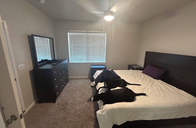 Centrally Located 3BDR apartment in <3 of the city.Pools, WiFi, fitness-included