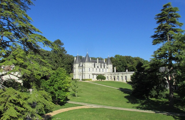 Château de la Barbelinière + swimming pool